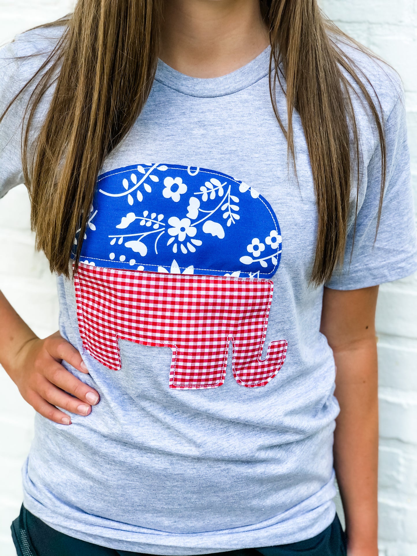 Democrat & Republican Tee